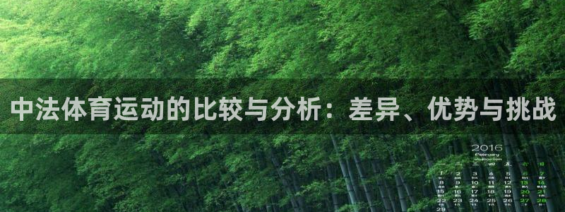 风速体育直播：中法体育运动的比较与分析：差异、优势与挑战