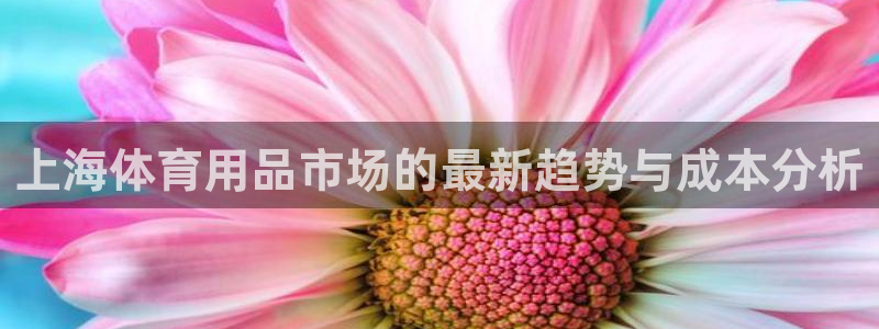 风速体育app官方下载：上海体育用品市场的最新趋势与成本分析