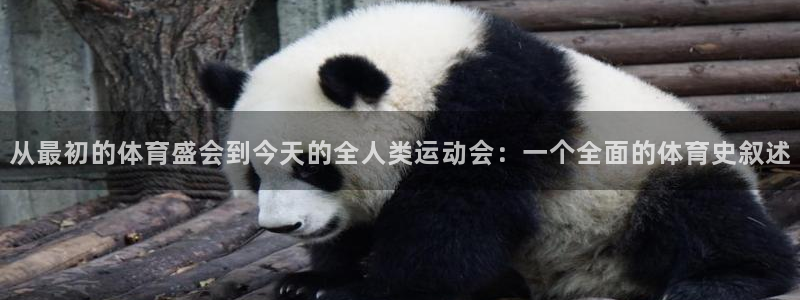 风速体育直播：从最初的体育盛会到今天的全人类运动会：一个全面的体育史叙述