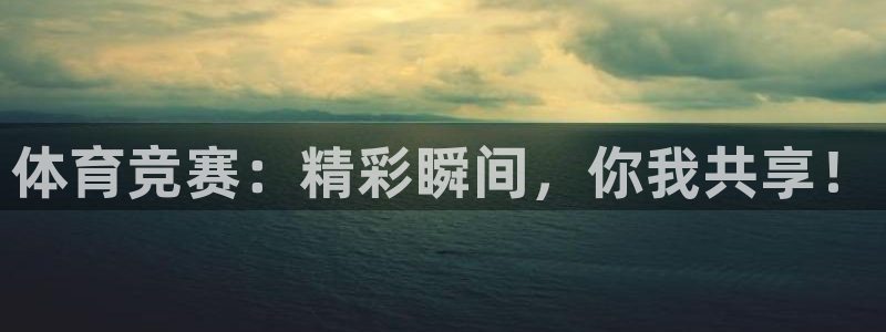 风速体育直播app：体育竞赛：精彩瞬间，你我共享！