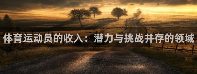 风速体育app：体育运动员的收入：潜力与挑战并存的领域