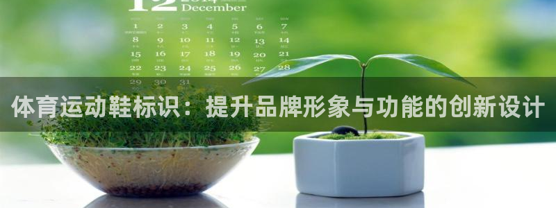 风速体育app下载安装最新版本：体育运动鞋标识：提升品牌形象与功能的创新设计