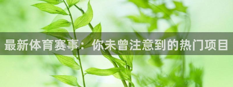 风速体育app官方下载：最新体育赛事：你未曾注意到的热门项目