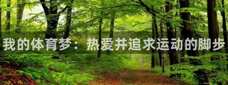 风速体育app：我的体育梦：热爱并追求运动的脚步