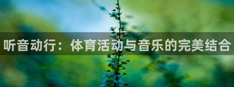 风速体育直播app：听音动行：体育活动与音乐的完美结合