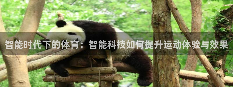 风速体育：智能时代下的体育：智能科技如何提升运动体验与效果