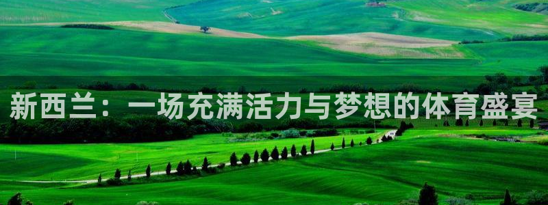 风速体育app官方下载：新西兰：一场充满活力与梦想的体育盛宴