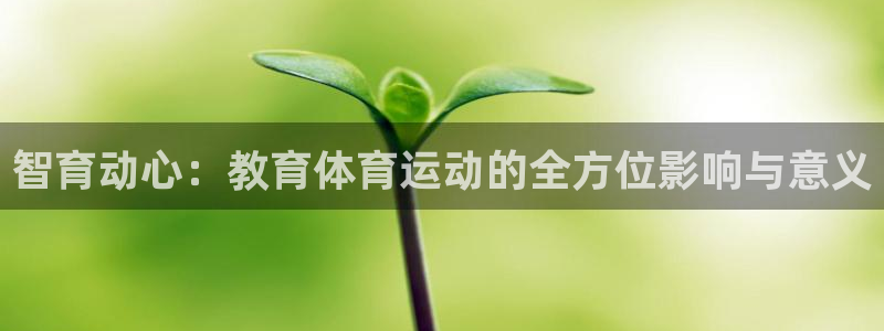 风速体育：智育动心：教育体育运动的全方位影响与意义