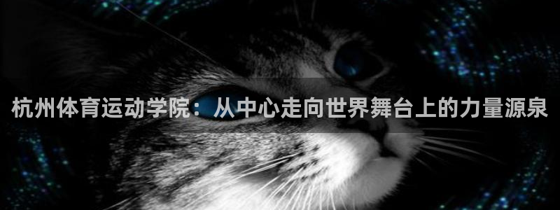 风速体育：杭州体育运动学院：从中心走向世界舞台上的力量源泉